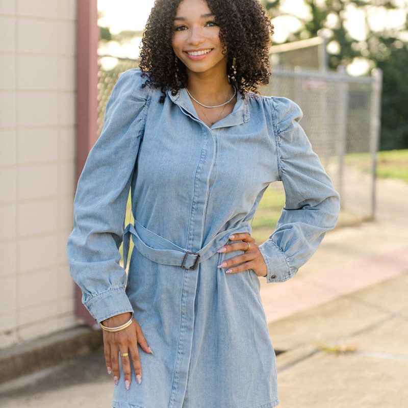 Light Wash Belted Denim Dress